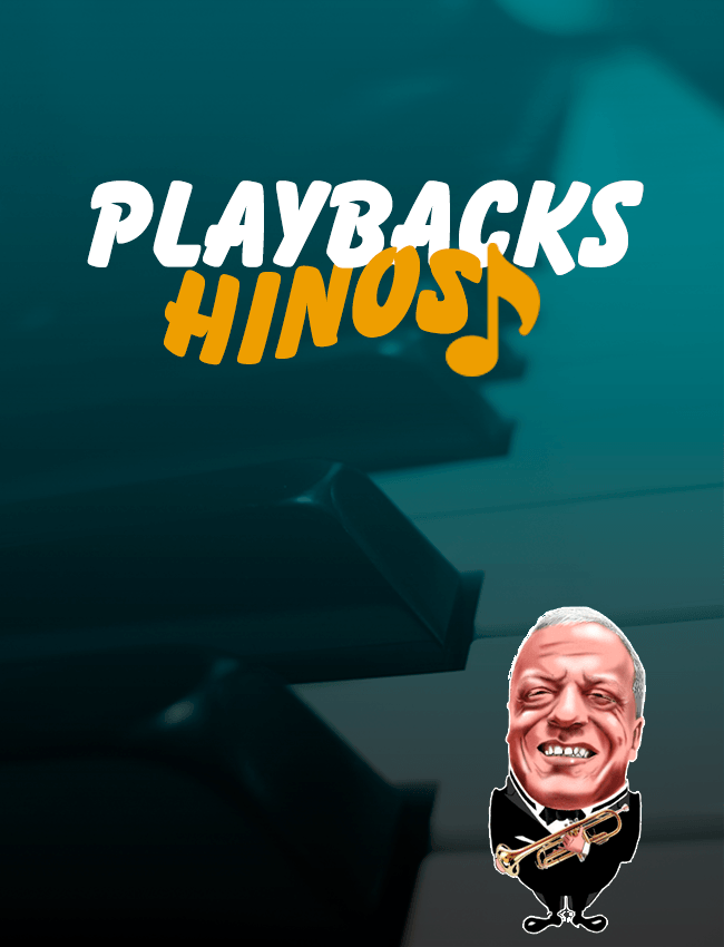 Playback hino 380